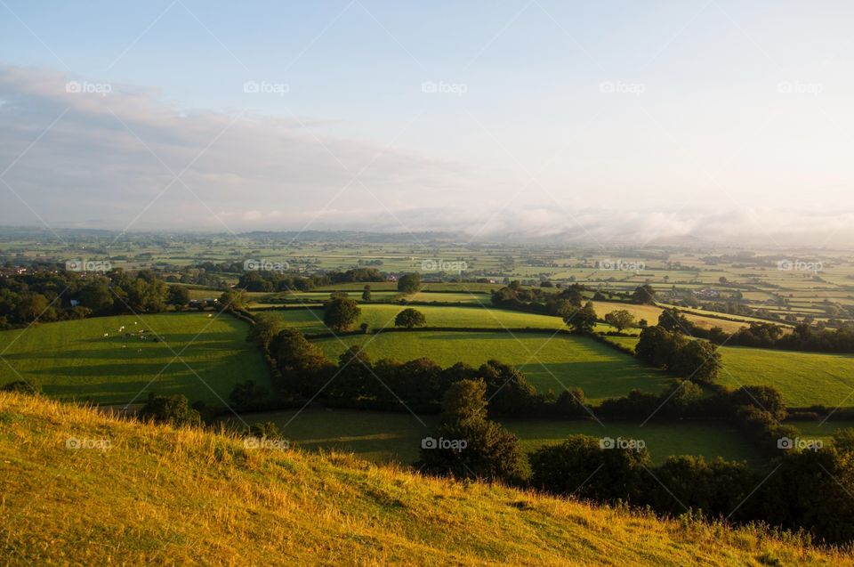 English fields 