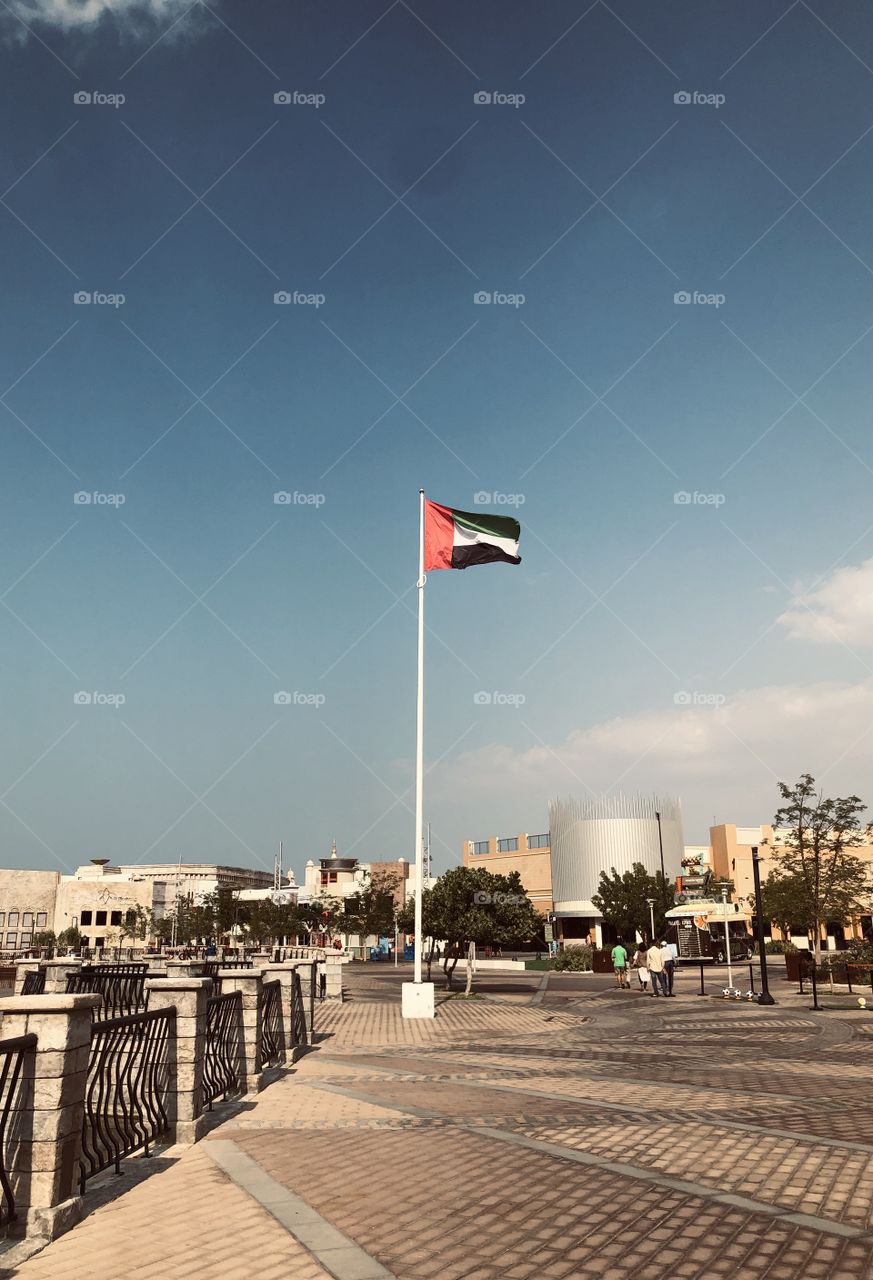 Uae flag