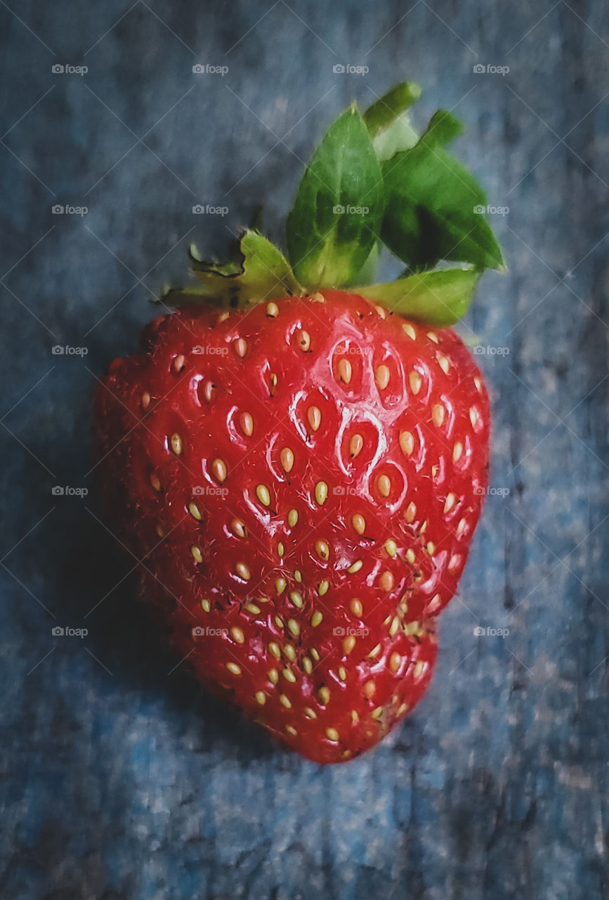 Plump, red juicy homegrown strawberry. Contrasted with a blue wooden backround.