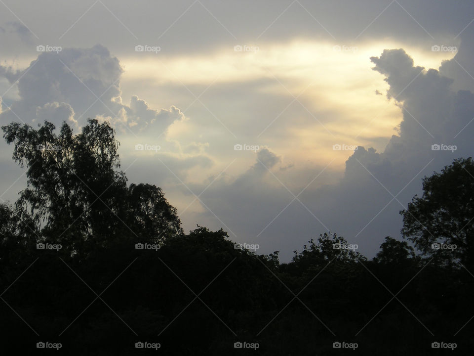 Nature has a way of stopping anything you are doing to admire it in awe.