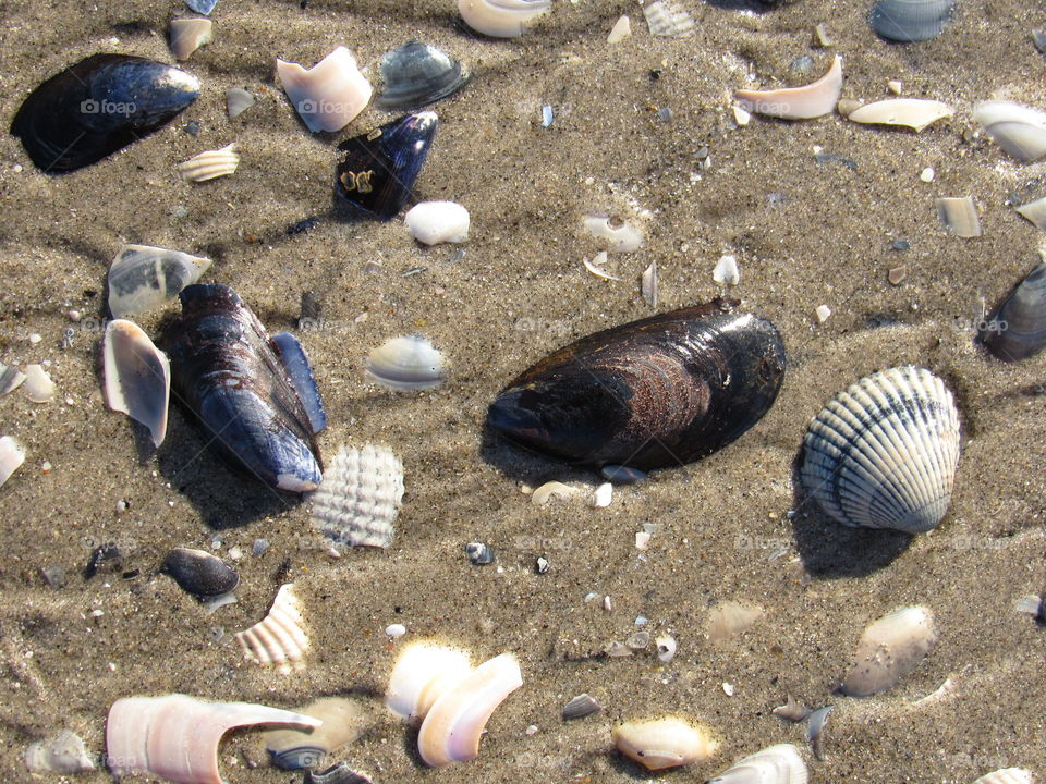 on the beach