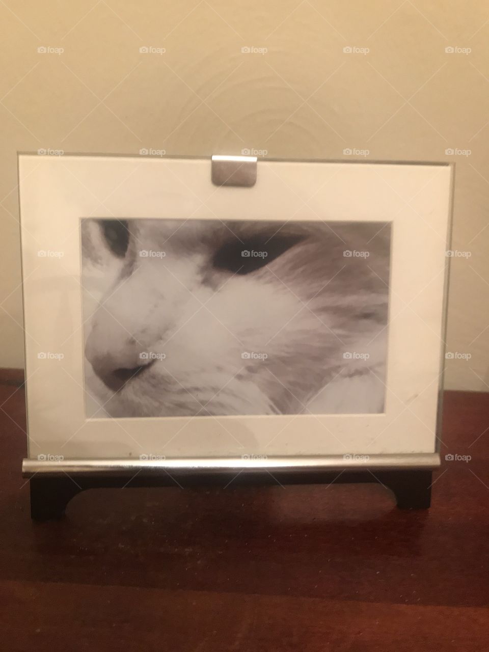 A picture of a portrait 