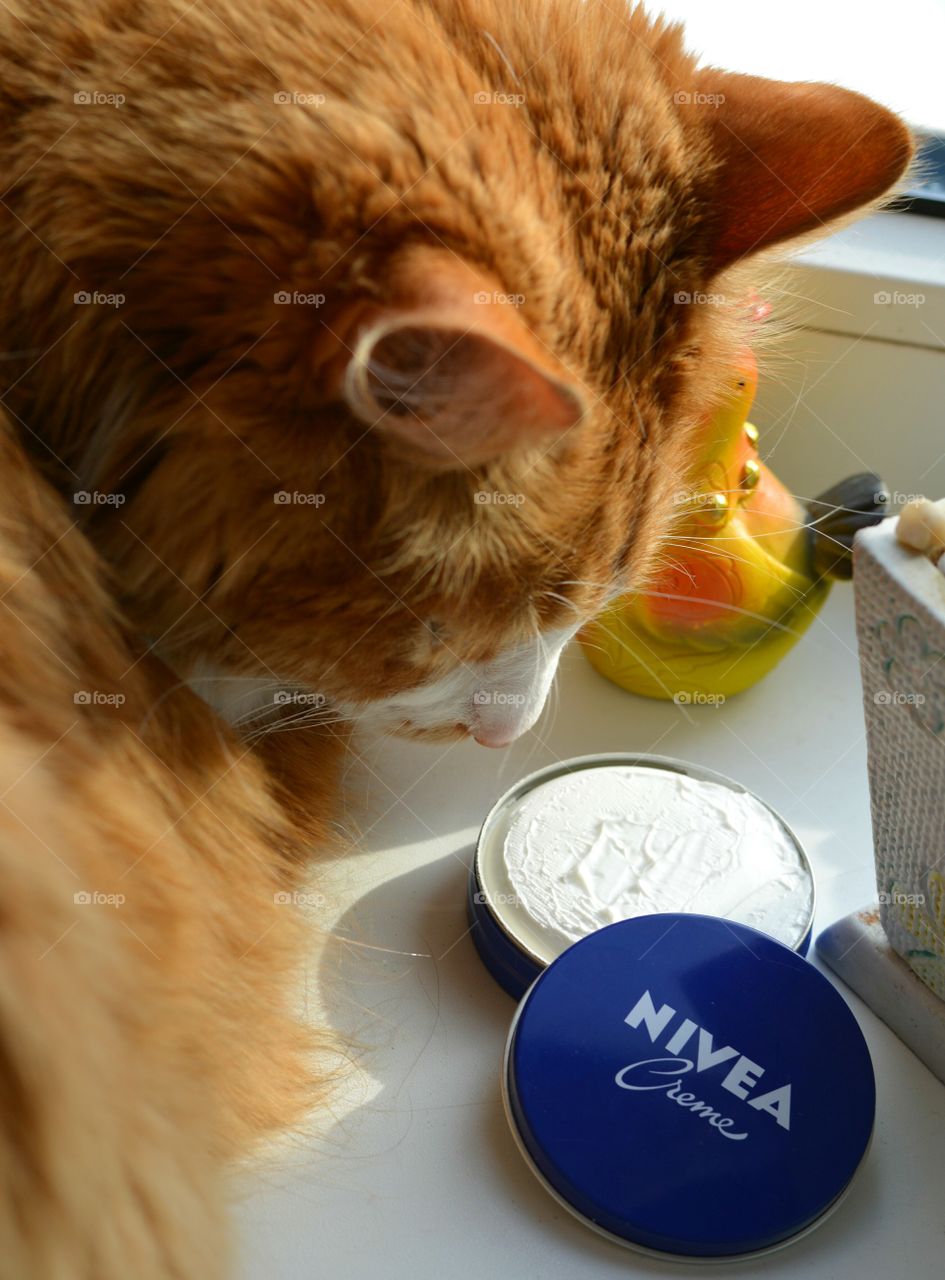 cat nivea