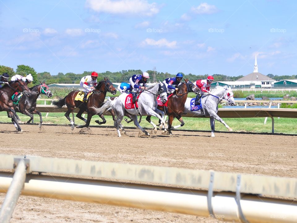 Pennsylvania Derby Day. Wealth to me, a white or roan gelding on the outside with his entry mate Fire Alarm, the winner passing the grandstand. 
