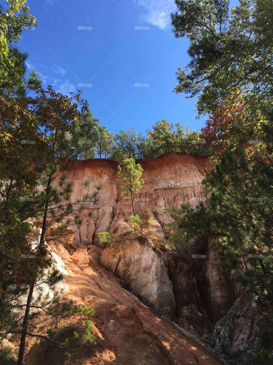 Providence Canyon Conservation, Georgia