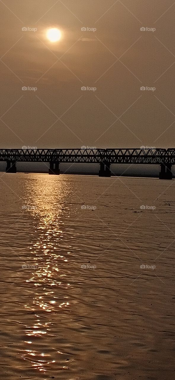 sunlight on the water