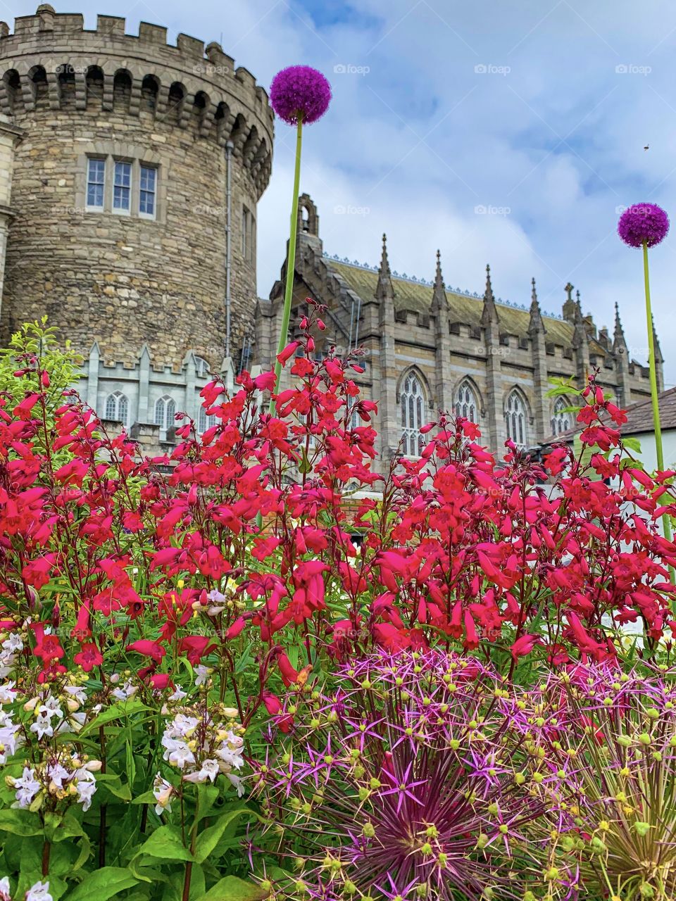 Awesome day exploring Dublin 🇮🇪