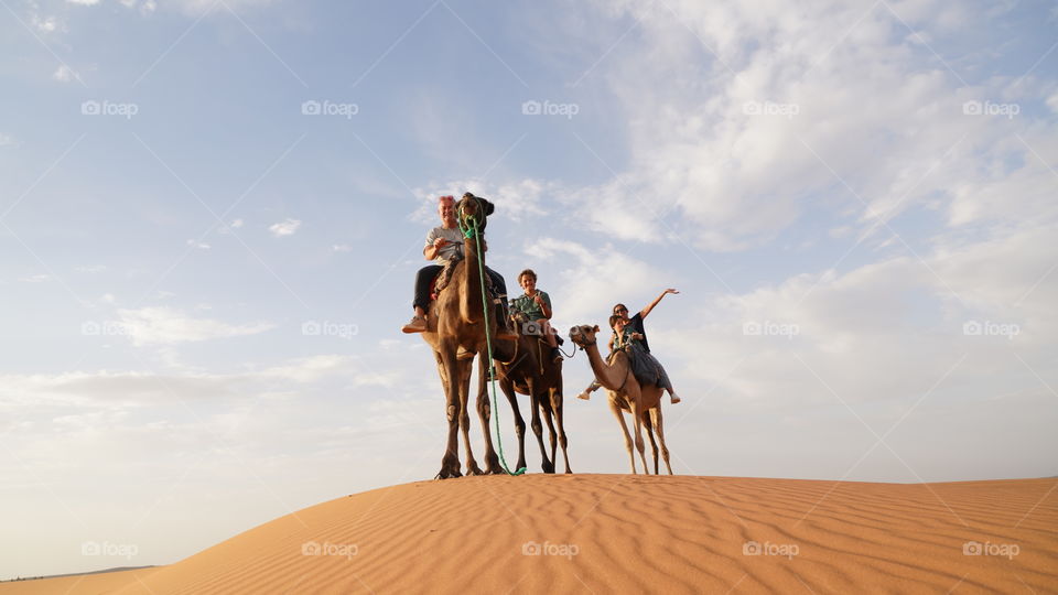 tres camellos viaje marruecos