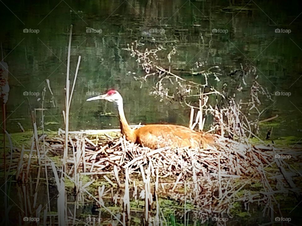 Driving the  back Roads enjoying everything around us