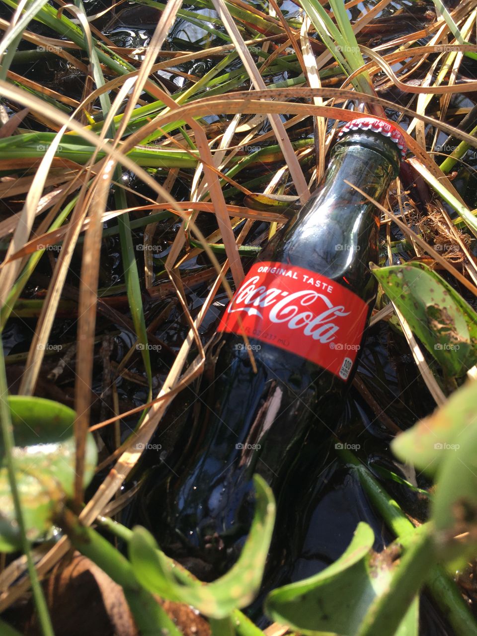 Coca-Cola photography mission 