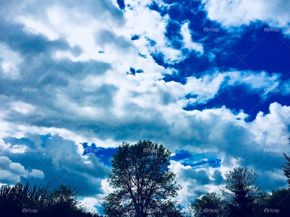 Bright blue sky clouds trees