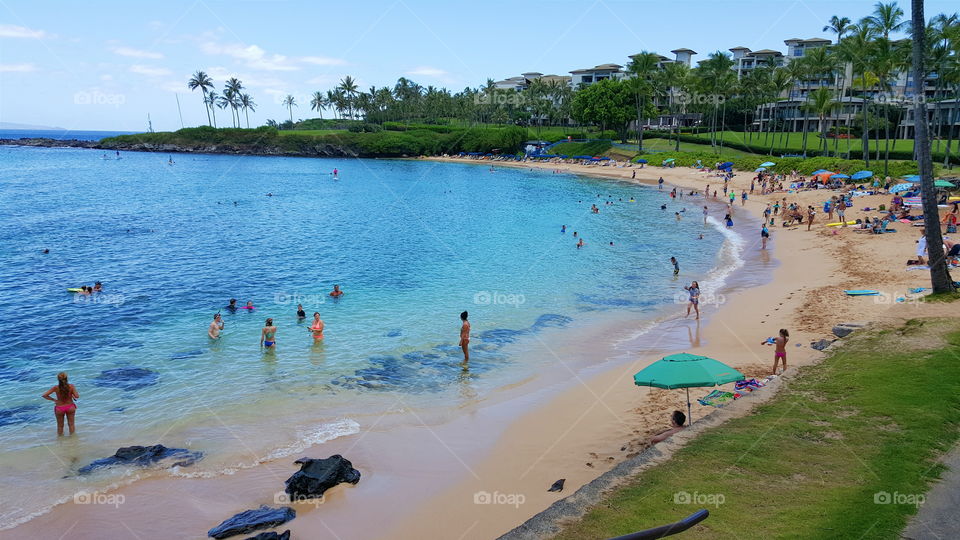 beach in Maui. beach in Maui