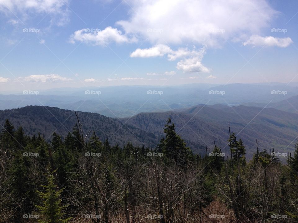 Smoky Mountains . Photo of Great Smoky Mountains 
