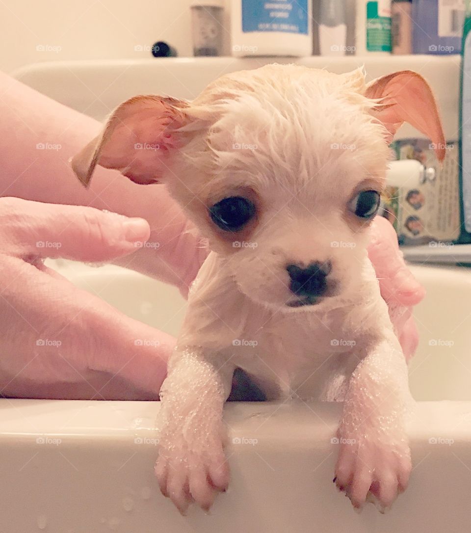 Bath time 