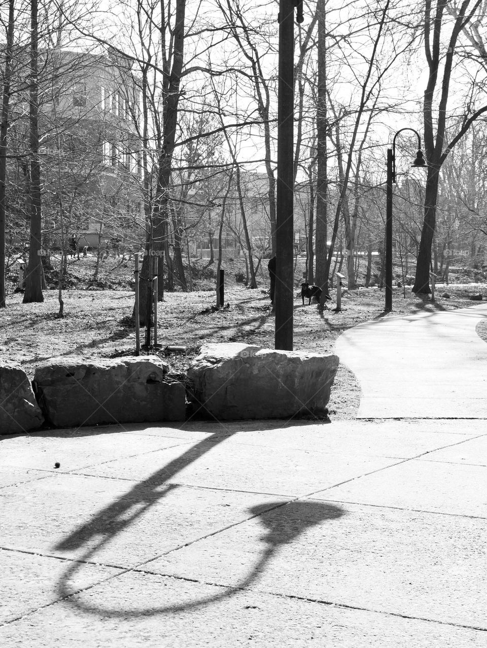 Life at the creek. Shadow of a lamp falls over the path. 