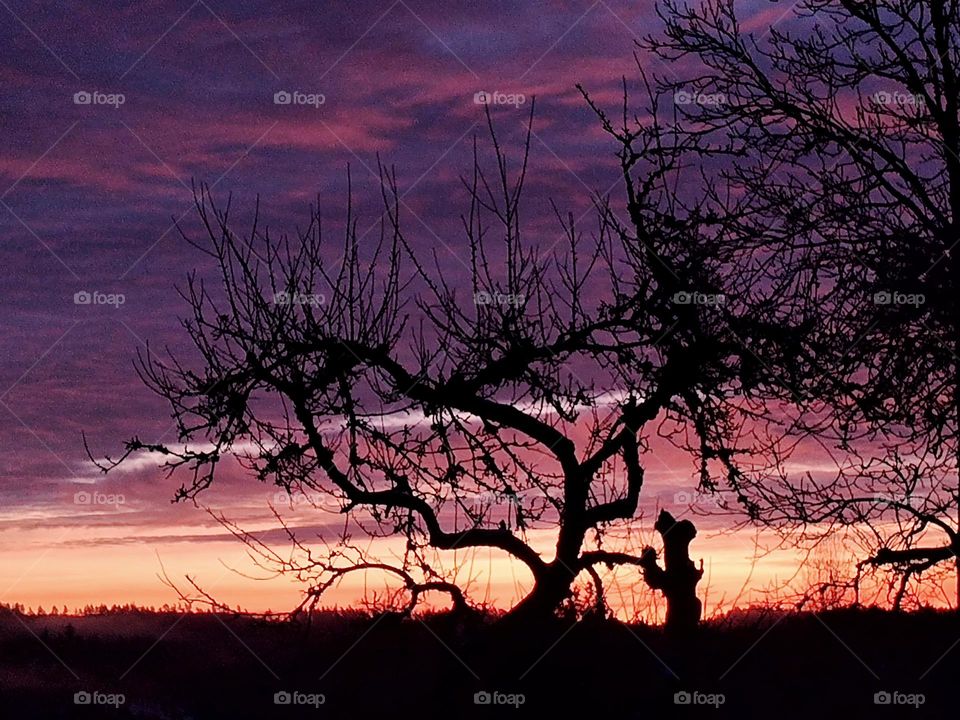 The beautiful morning that offered
the most beautiful colors from their natural palette