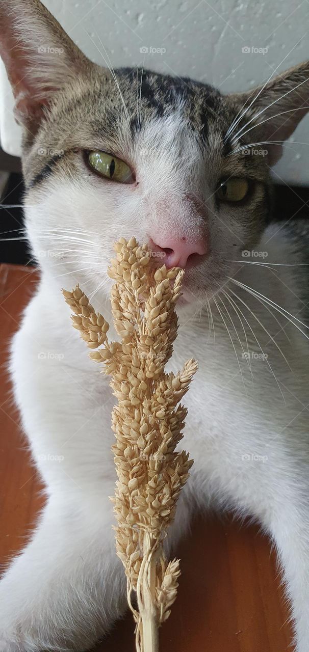 Editors ' Choice : Photo of the week