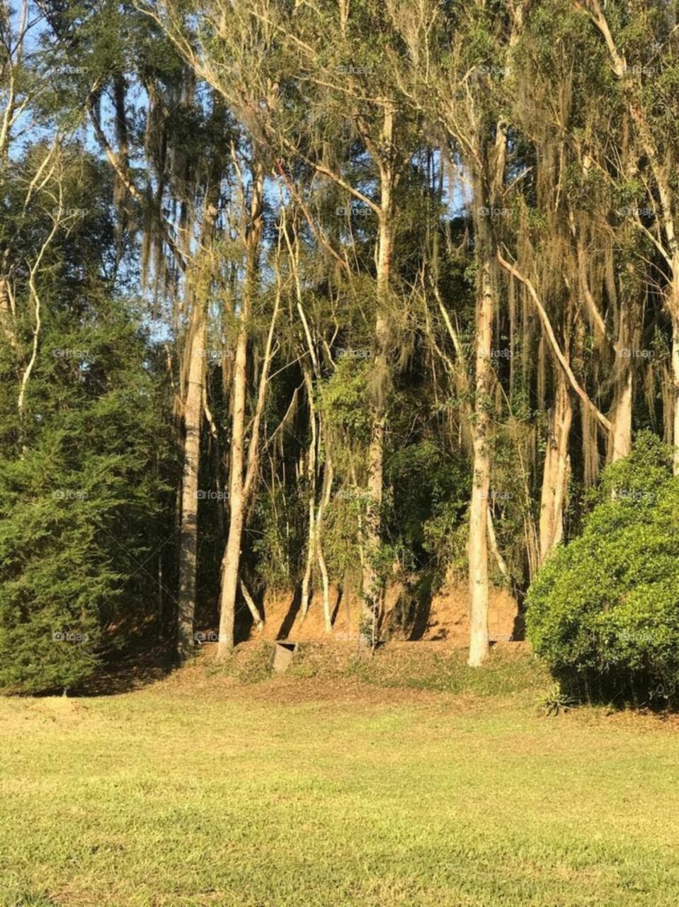 Belezas da natureza.