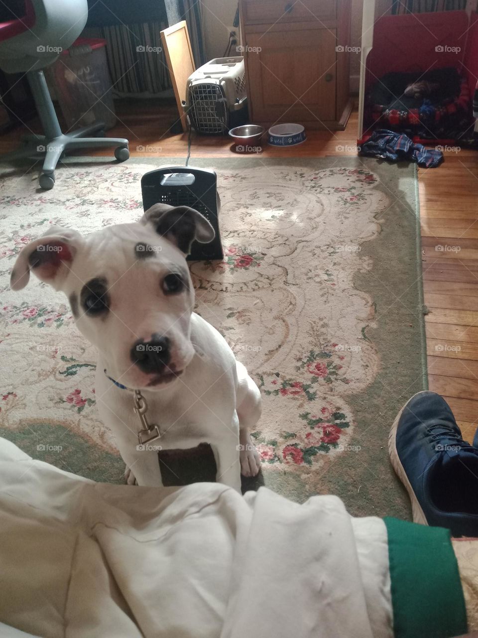 Front view of Blue Bell