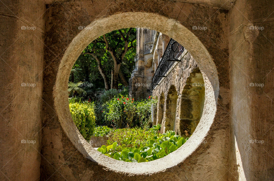 The hole to the nature