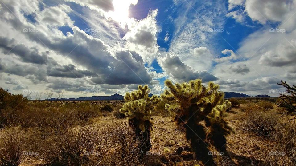 Epic stormy skies pass over the midday desert of Arizona.