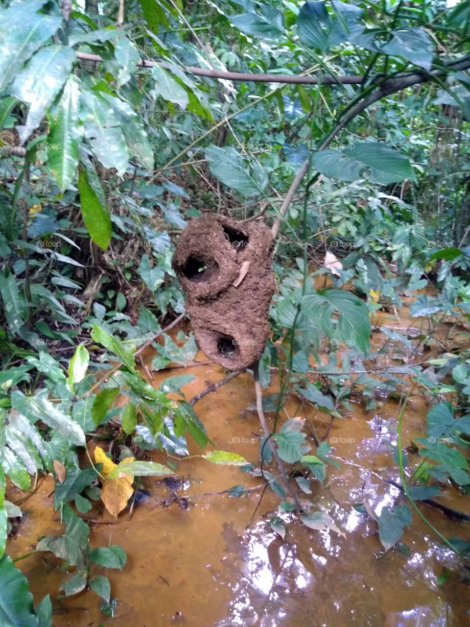 arquitectura natural