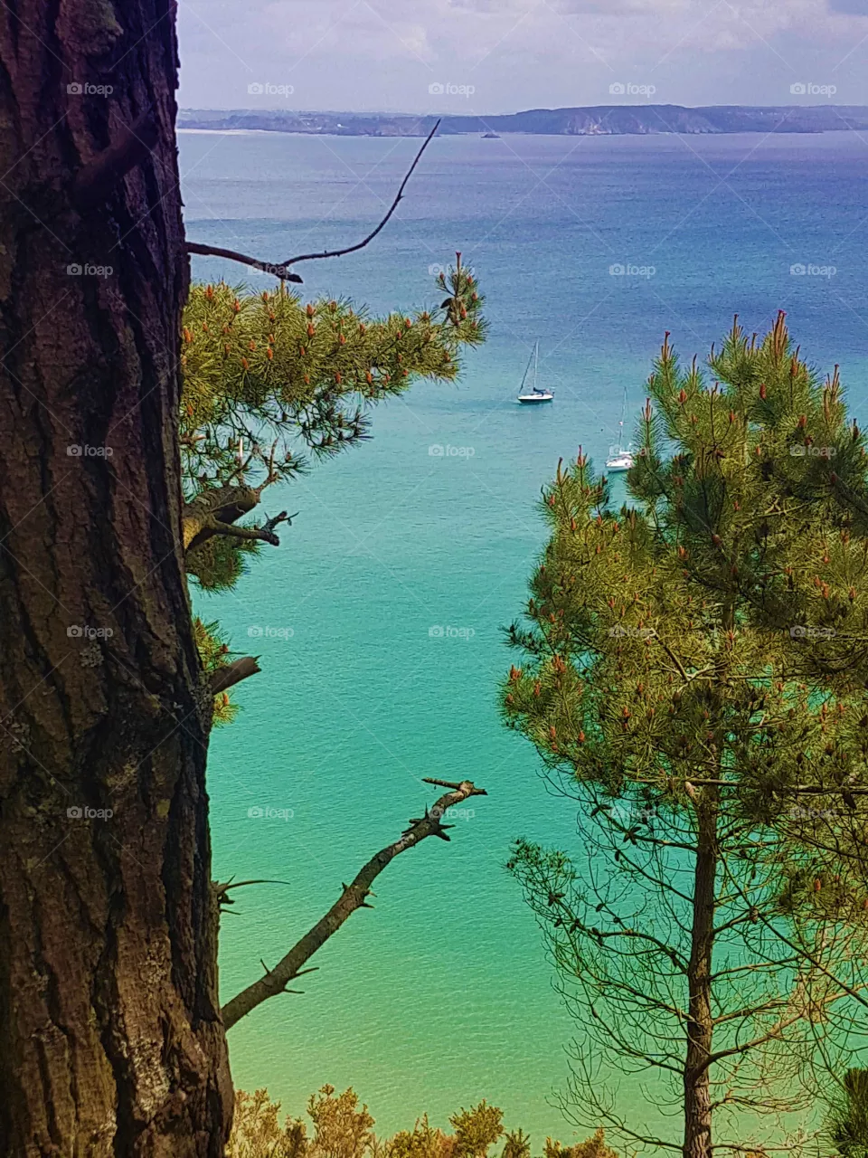 on the coast