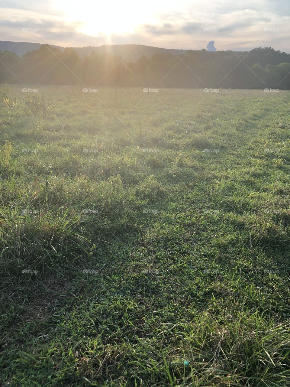 He walks through here