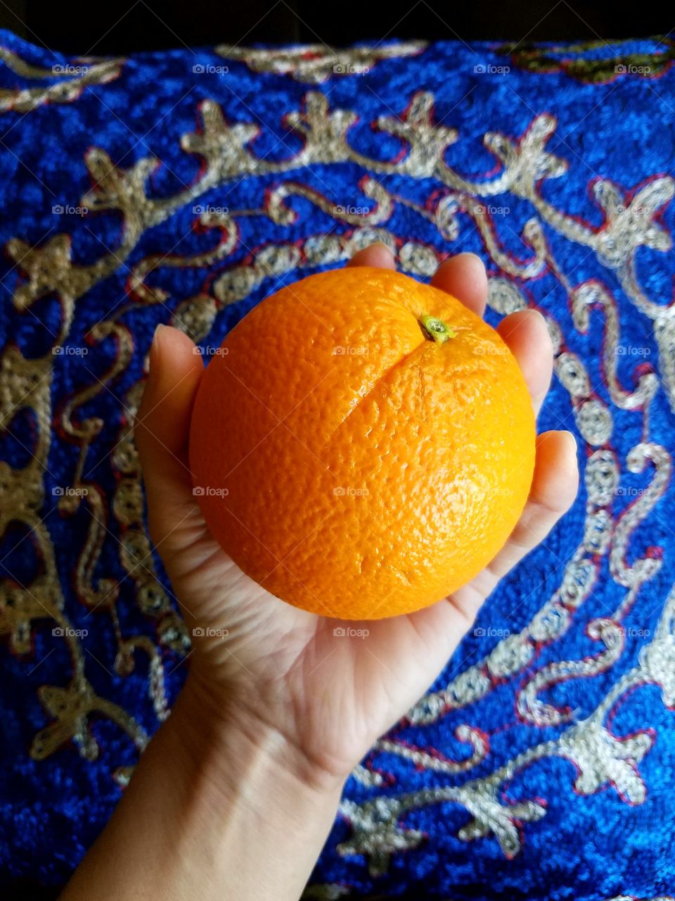 Holding  orange