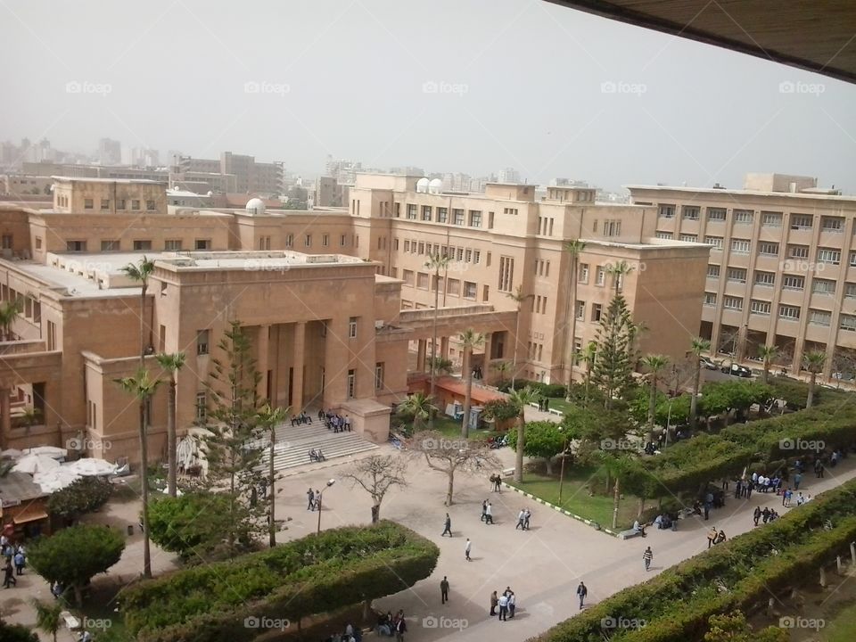 faculty of engineering. Alexanderia.egypt