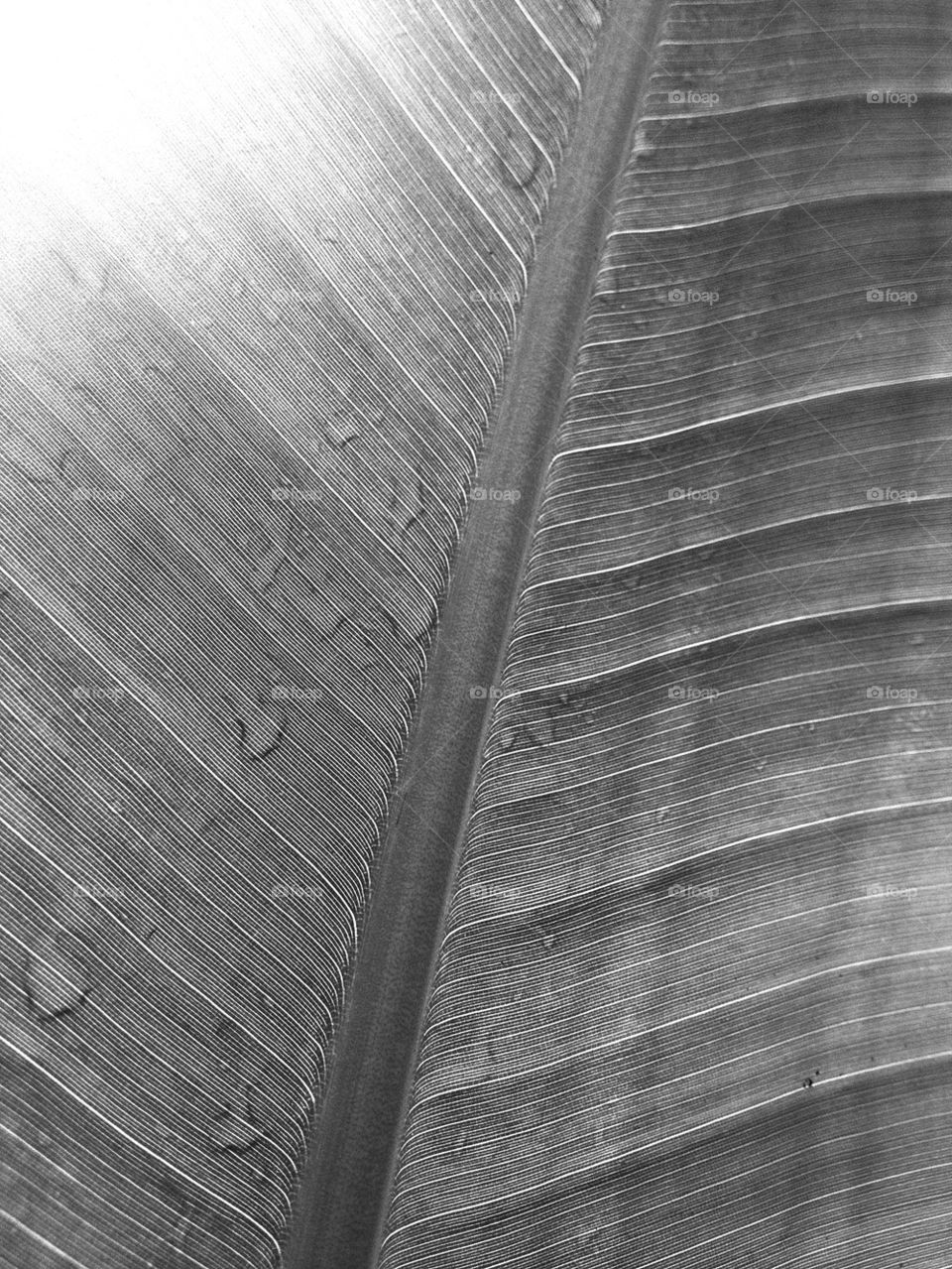 beach green garden yellow by 3rdandocean