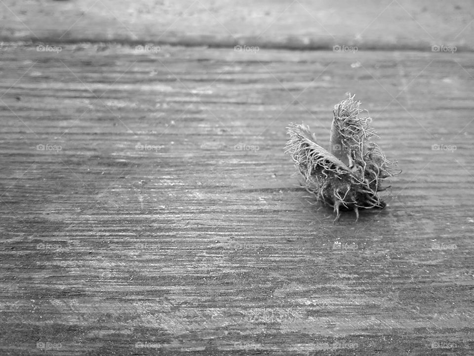 black white monochrome