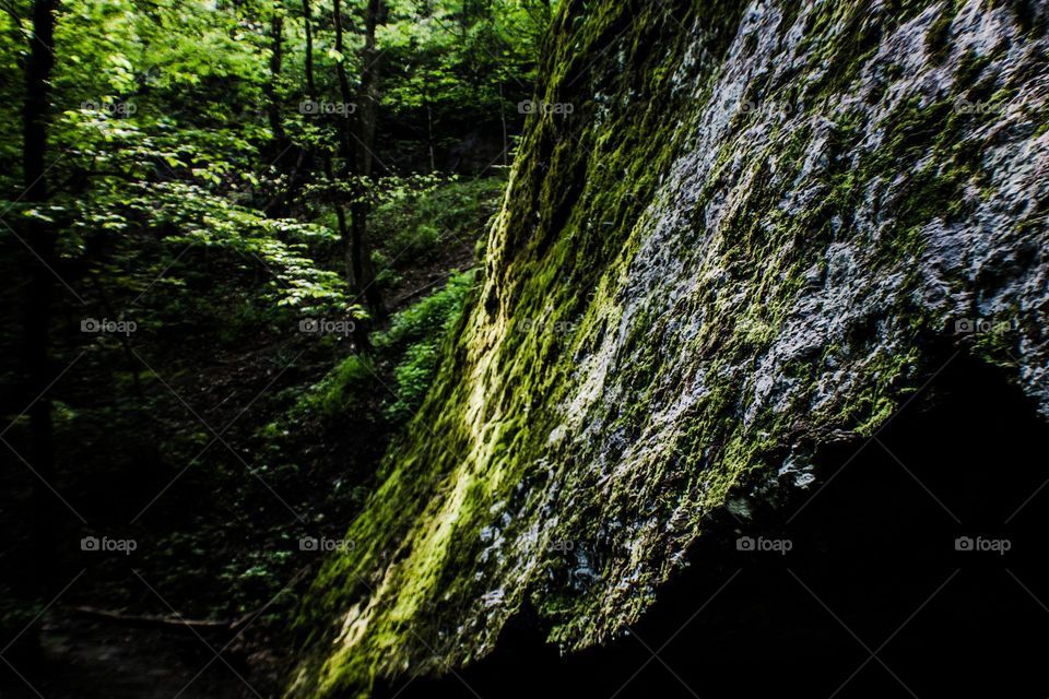 moss covered rock wall