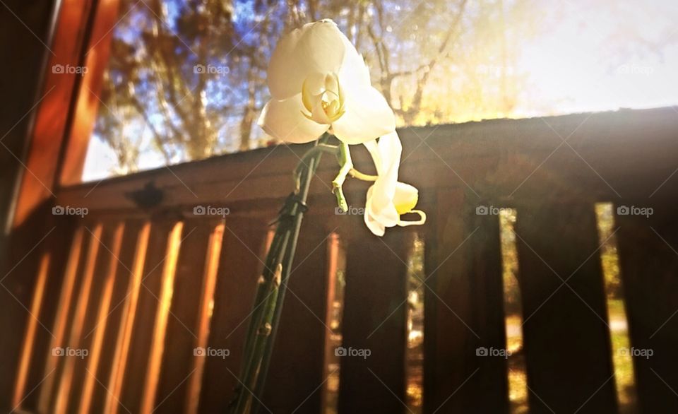 Sunshine and water work miracles 