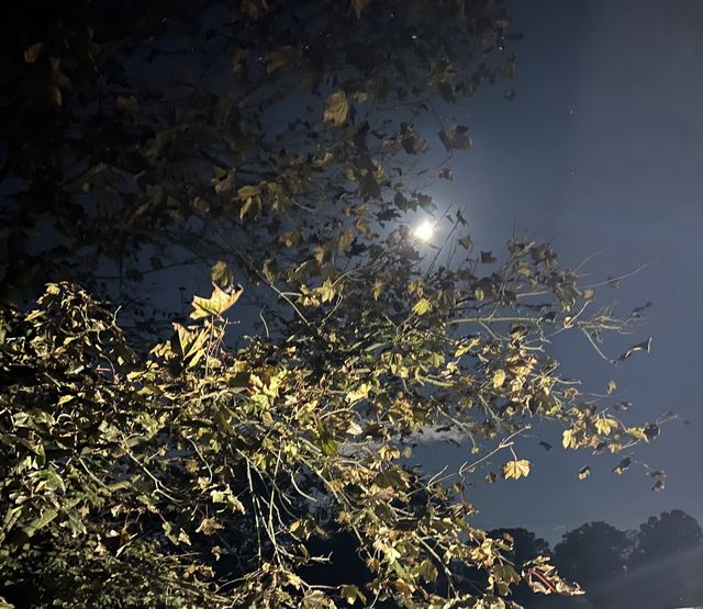 Moon