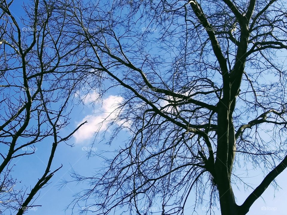 small cloud in winter