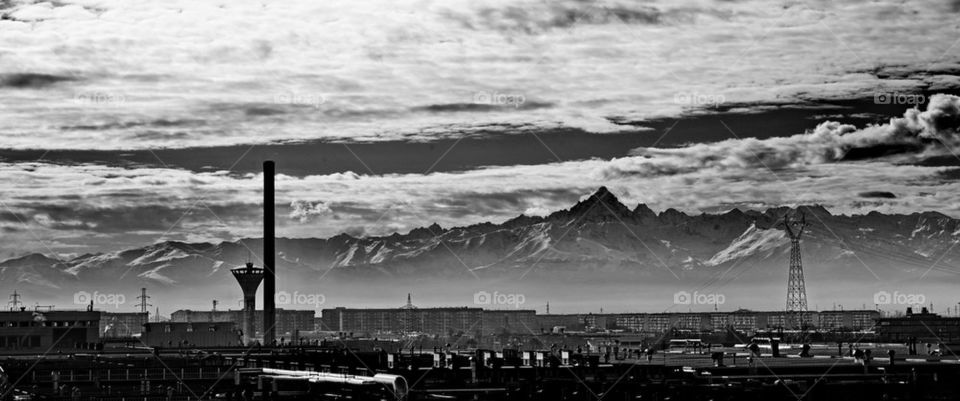 Black and white view of nature