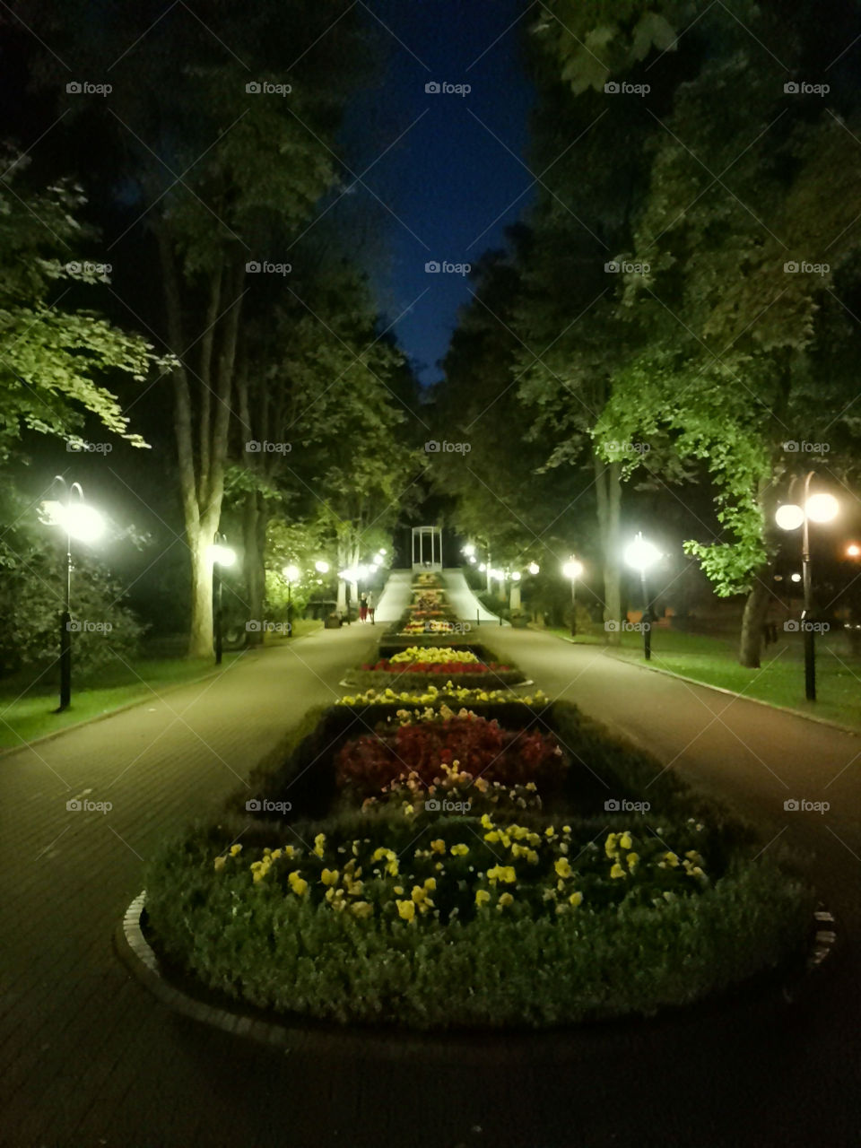 Park nocą