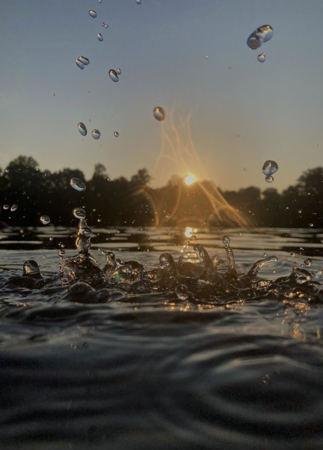 Lake at sunset, sun coming through the trees, water droplets falling.
