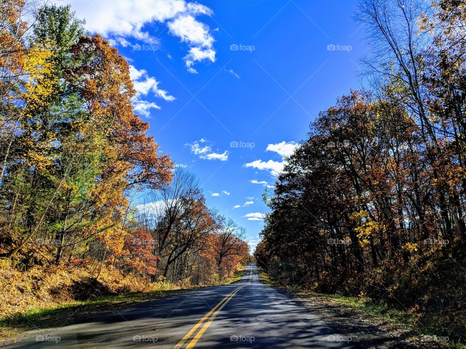 Country road under a blue sky in October