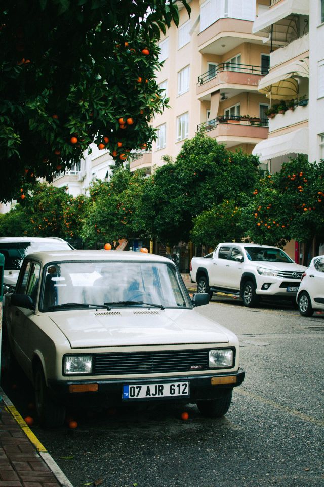 Turkey 