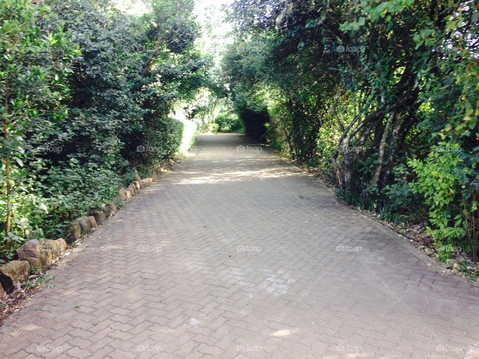A footpath to my house 