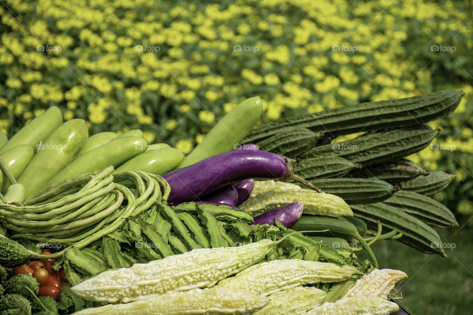 Vegetables in Thailand  Eggplant , Purple Winged Bean , Bitter gourd and Winter melon.