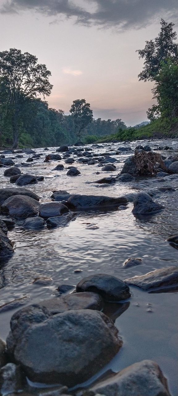 river nature