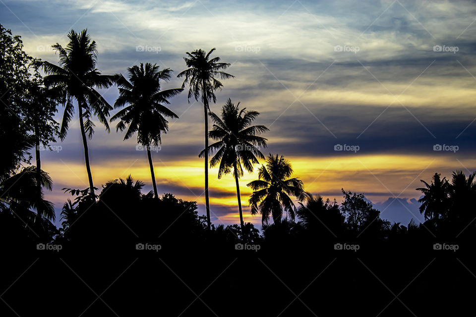 Sunset the evening light through the clouds and coconut trees.