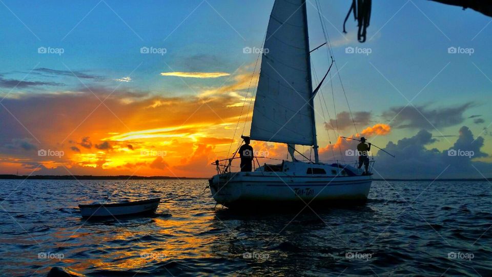 Water, Ocean, Sea, Boat, Sailboat