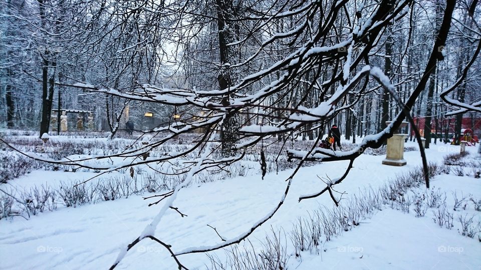 Frozen and snowy park