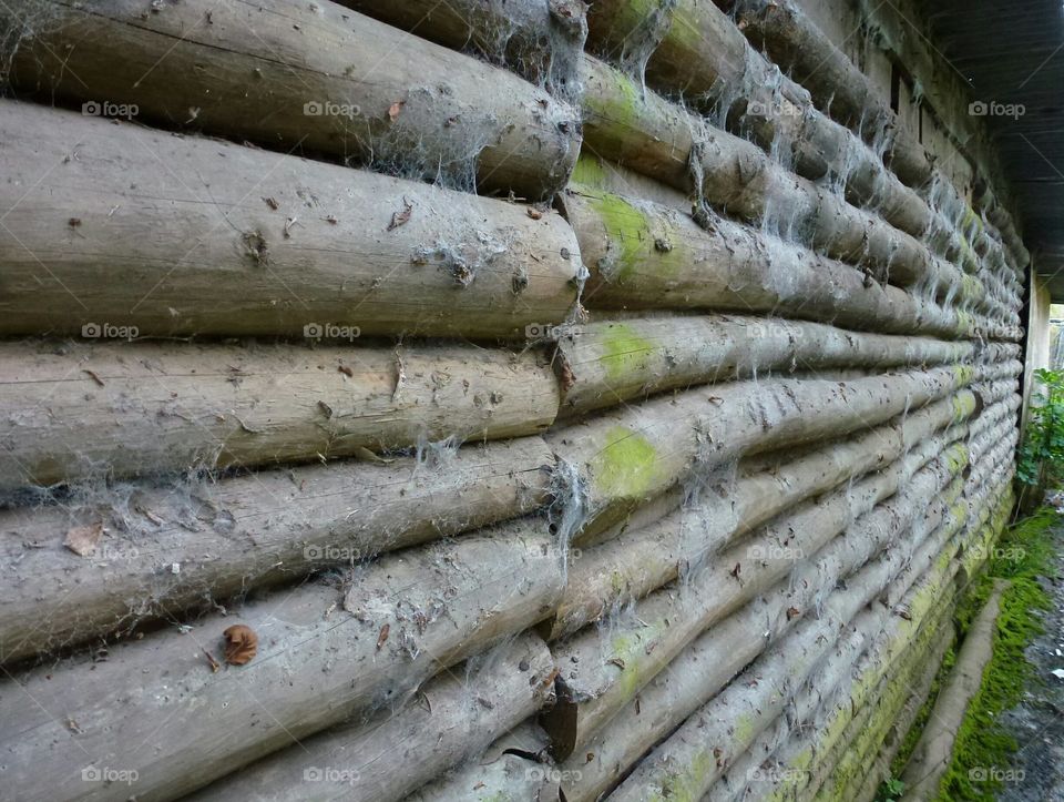 log cabin for spiders