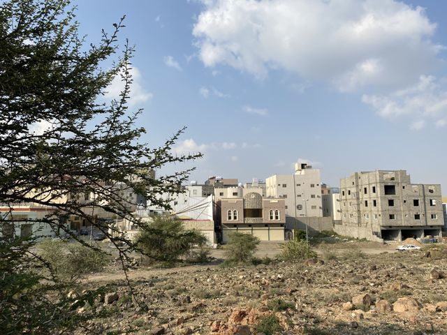 Taif mountains ⛰ rocks ,desert , amazing herbal 