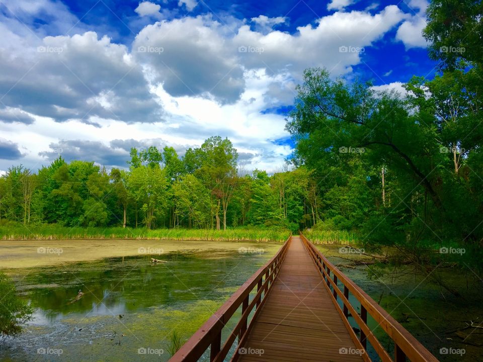 Pond bridge